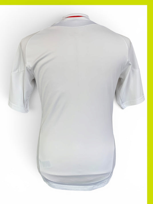Lyon 2010-2011 HOME