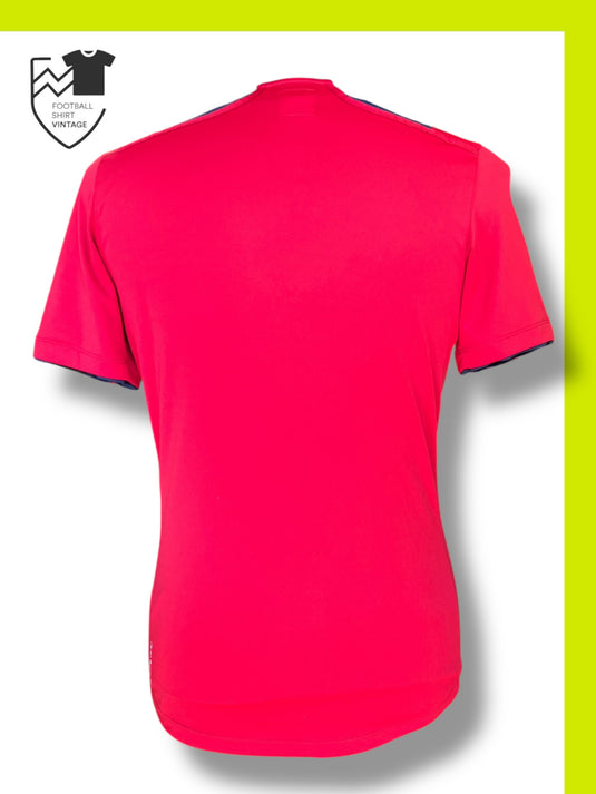 Lille 2012-2013 HOME