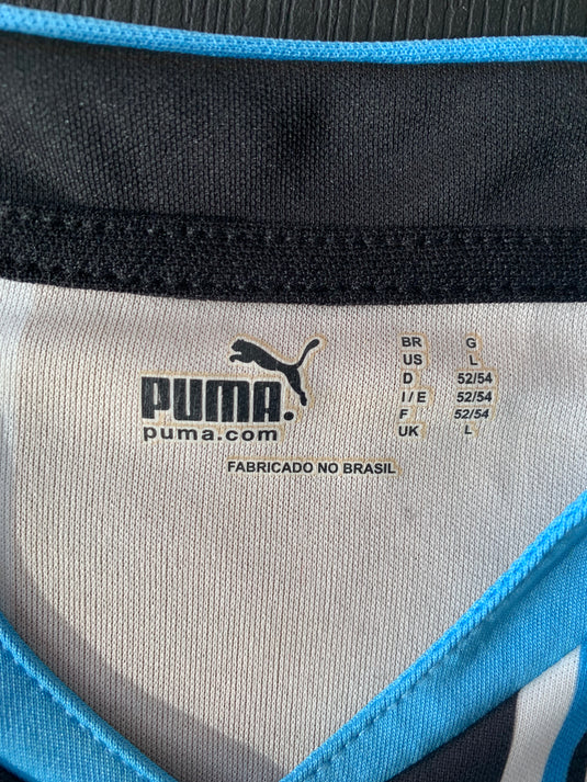 Gremio 2010 HOME (L)