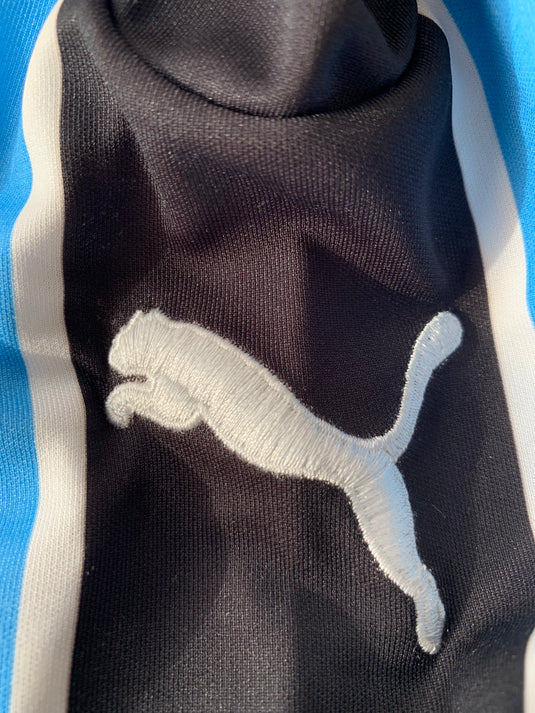Gremio 2010 HOME (L)