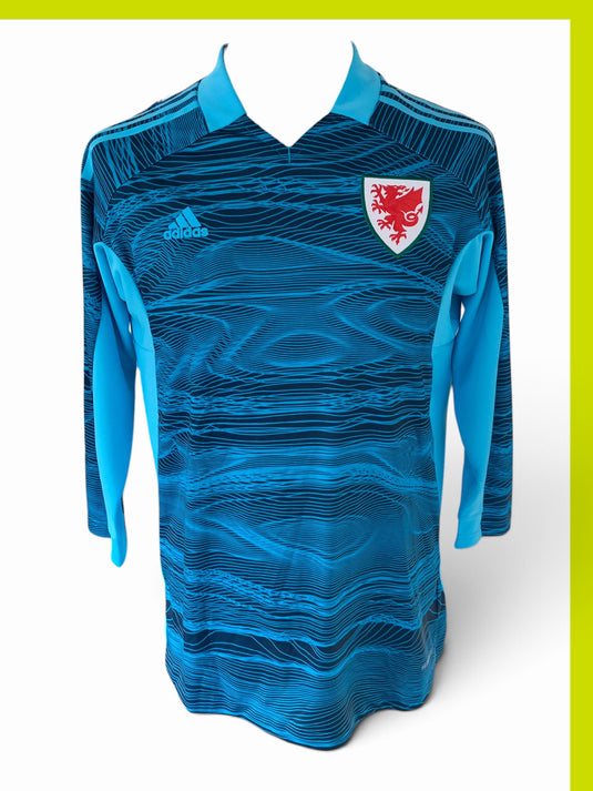 Pays de Galles 2021 Goal  (L)