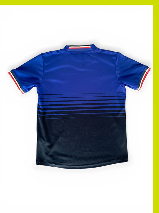 France 2011 HOME