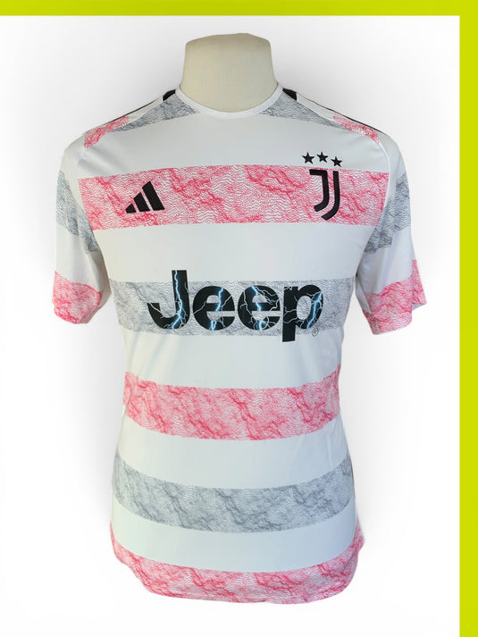 Juventus 2023-2024 AWAY (L)