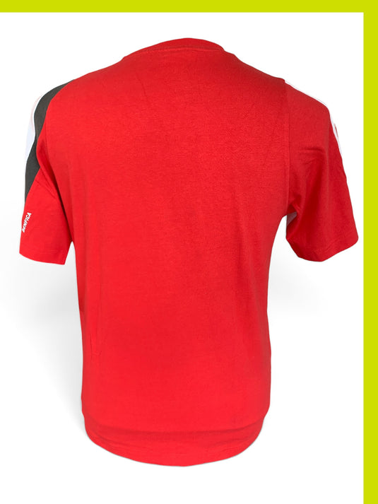 Benfica Lisbonne 2009-2010 Training (L)