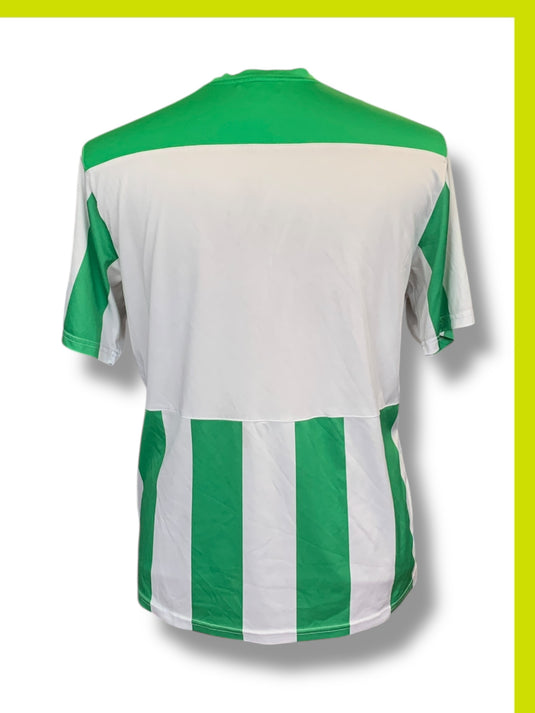 Karpaty Lviv 2010-2011 HOME