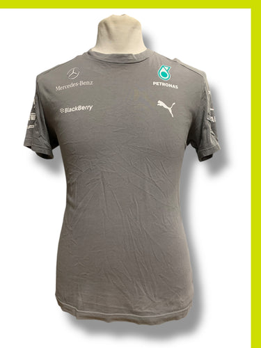 Mercedes Petronas 2013 F1