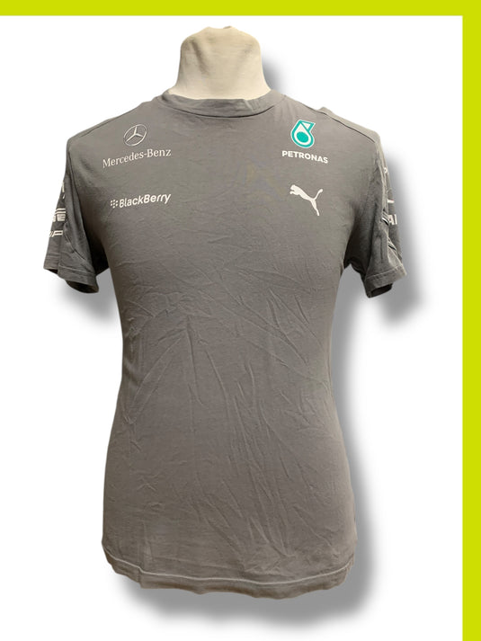 Mercedes Petronas 2013 F1