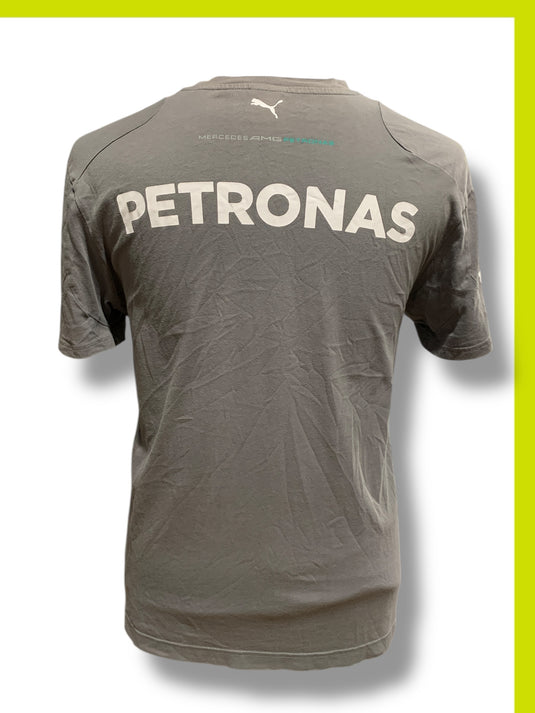 Mercedes Petronas 2013 F1