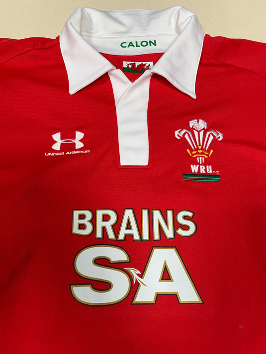 Pays de Galles 2009 HOME  (L)