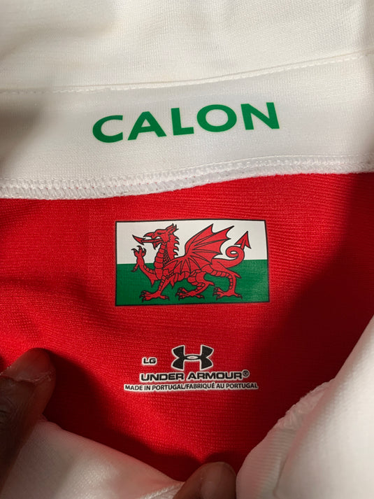 Pays de Galles 2009 HOME  (L)