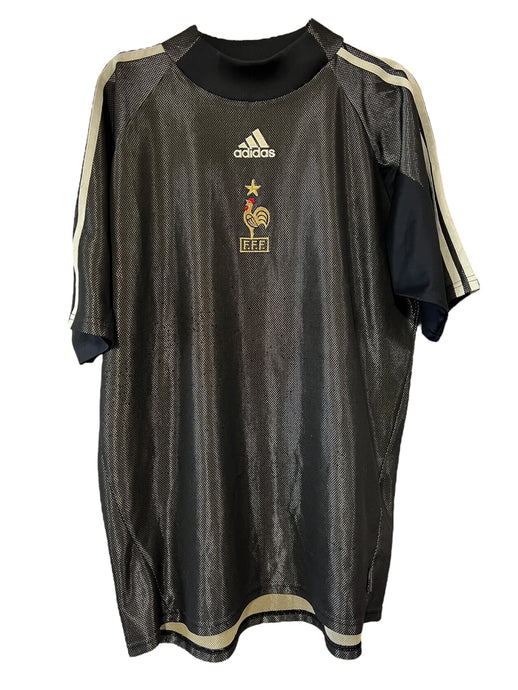 France 2002 Goal 16 BARTHEZ