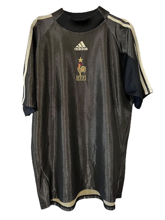 France 2002 Goal 16 BARTHEZ