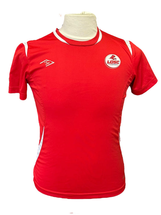 Lille 2010-2011 HOME